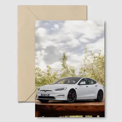 Tesla Model S White Car Outdoor Setting