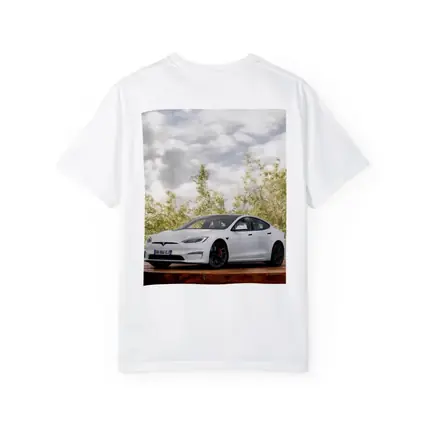 Tesla Model S White Car Outdoor Setting