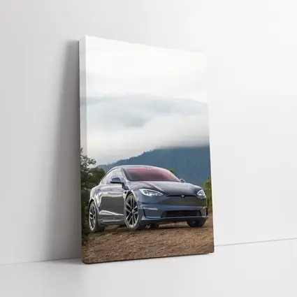 Tesla Model S Parked On Misty Mountain