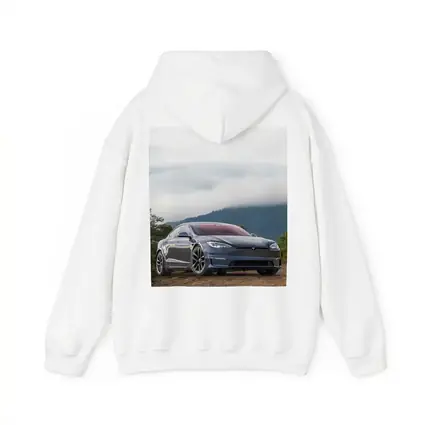 Tesla Model S Parked On Misty Mountain