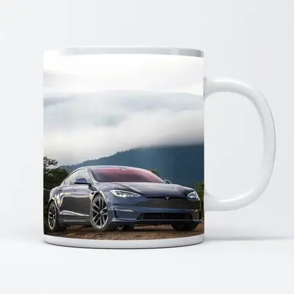 Tesla Model S Parked On Misty Mountain
