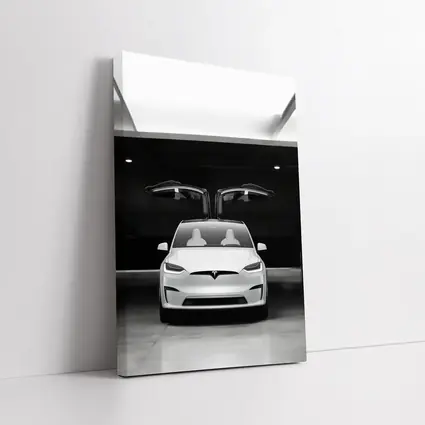 Tesla Model X Falcon Wings Garage Black White