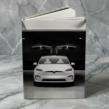 Tesla Model X Falcon Wings Garage Black White