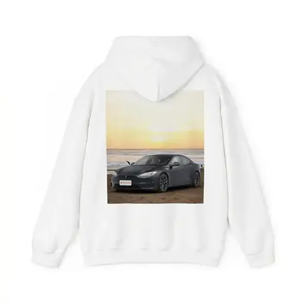 Tesla Model S Dark Gray Beach Sunset