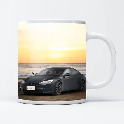 Tesla Model S Dark Gray Beach Sunset