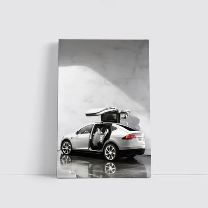 Tesla Model X Falcon Wing Doors Marble