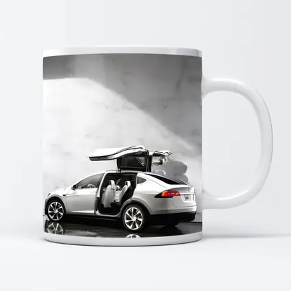 Tesla Model X Falcon Wing Doors Marble