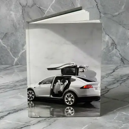 Tesla Model X Falcon Wing Doors Marble