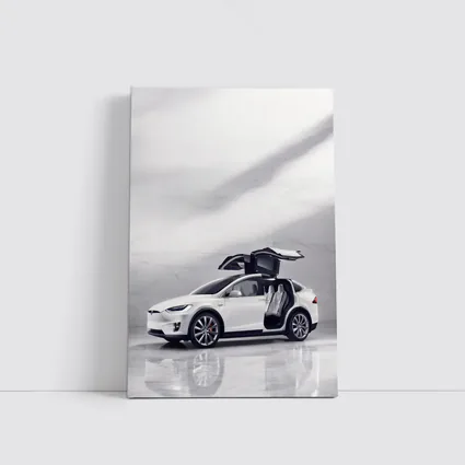 Tesla Model X White Falcon Wing Doors Open