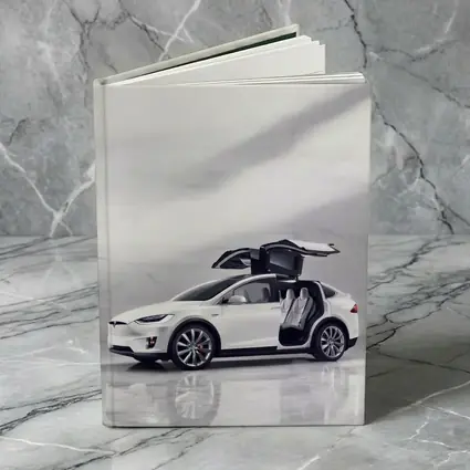 Tesla Model X White Falcon Wing Doors Open