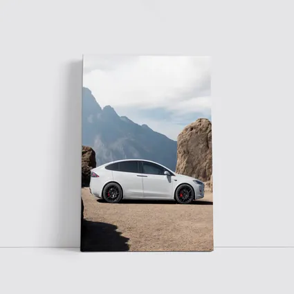 Tesla Model X Silver Rocky Mountain Overlook
