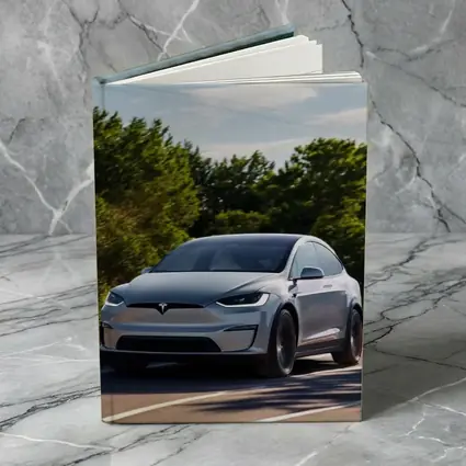 Tesla Model X Driving On Sunny Road