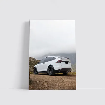 Tesla Model X White Misty Mountain Road