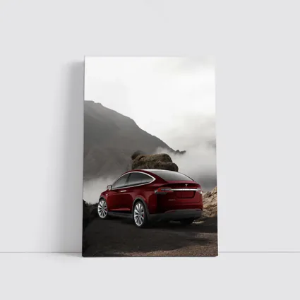 Tesla Model X Red Mountain Fog Landscape