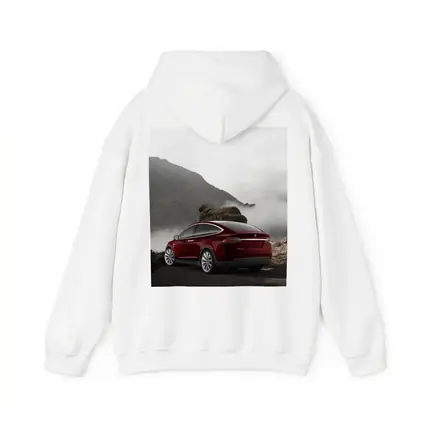 Tesla Model X Red Mountain Fog Landscape