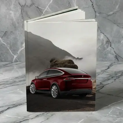 Tesla Model X Red Mountain Fog Landscape