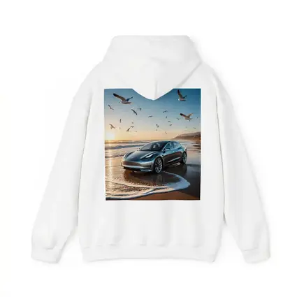 Tesla Model 3 Beach Sunset Seagulls Scene