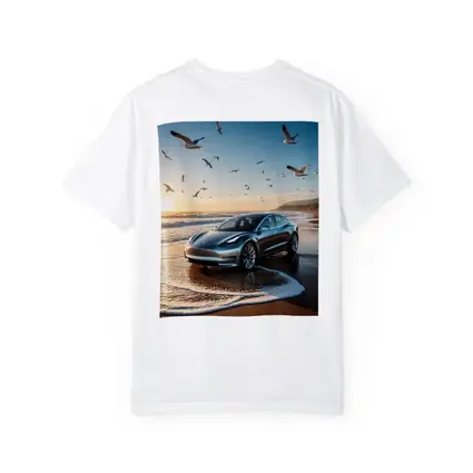 Tesla Model 3 Beach Sunset Seagulls Scene