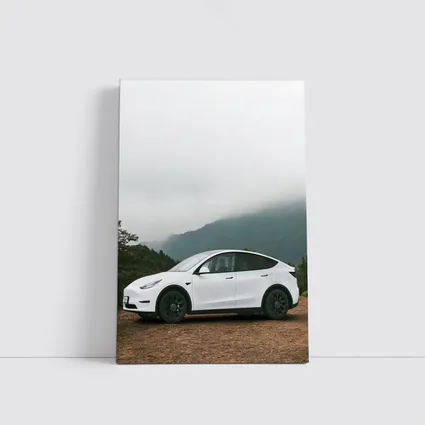 Tesla Model Y White Foggy Mountain Road