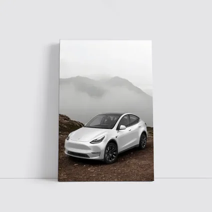 Tesla Model Y White Foggy Mountain Setting
