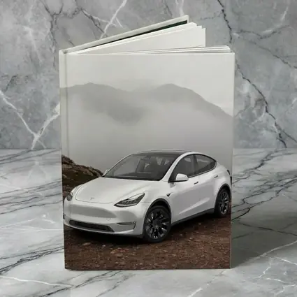 Tesla Model Y White Foggy Mountain Setting