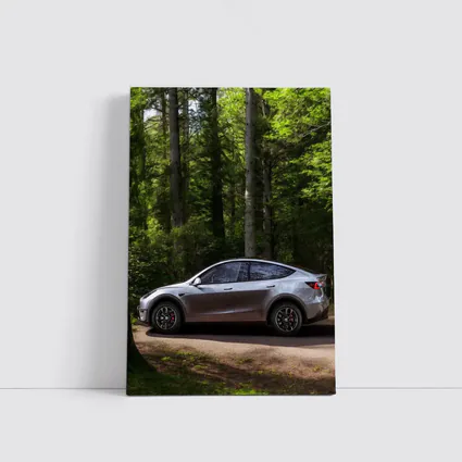 Tesla Model Y Silver Forest Road Side View