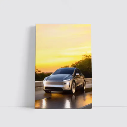 Tesla Model Y Driving at Golden Sunset