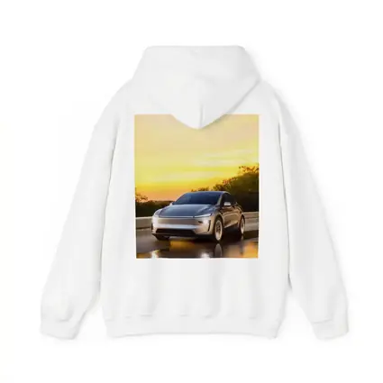 Tesla Model Y Driving at Golden Sunset