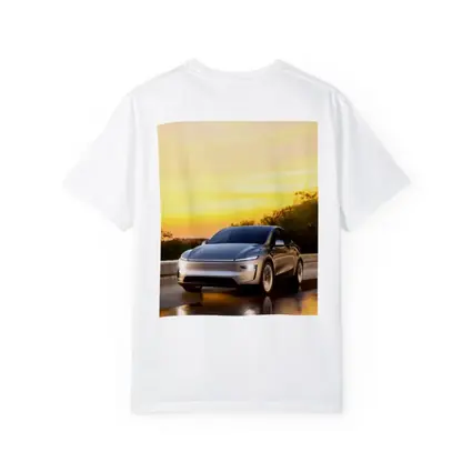 Tesla Model Y Driving at Golden Sunset