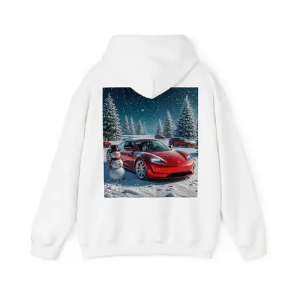 Tesla Roadster Red Car Winter Snow Scene