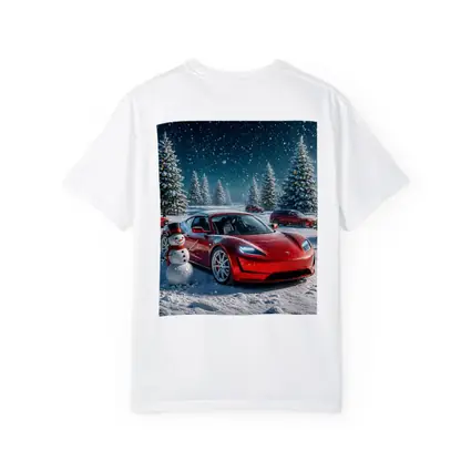 Tesla Roadster Red Car Winter Snow Scene