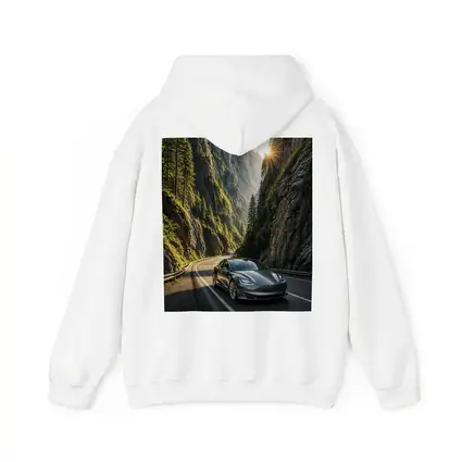 Tesla Model S Driving Through Mountain Canyon