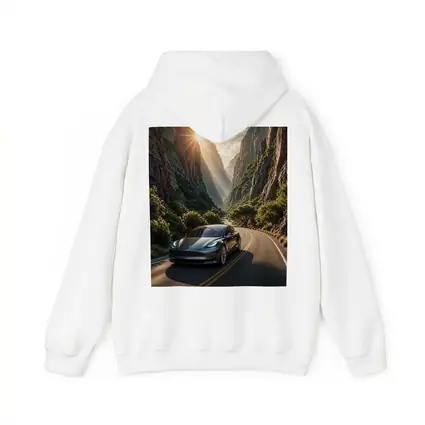 Tesla Model 3 Driving Through Mountain Canyon