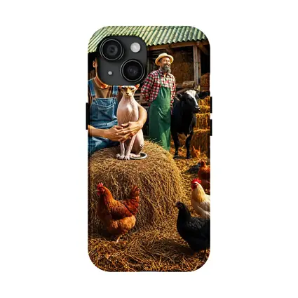 Sphynx Cat Farmer Barn Chickens Hay
