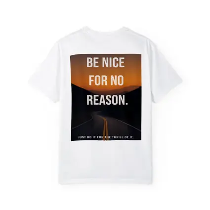 Be Nice For No Reason Mindset Quote