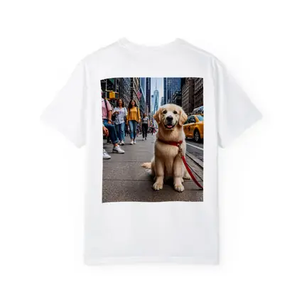 Golden Retriever Puppy Sitting New York City Street
