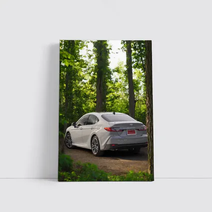 Toyota Camry Silver Sedan Forest Path