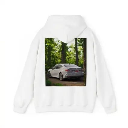 Toyota Camry Silver Sedan Forest Path