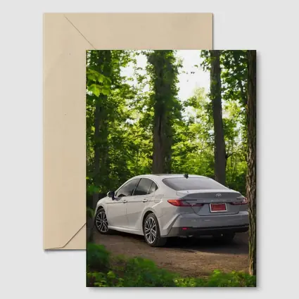 Toyota Camry Silver Sedan Forest Path