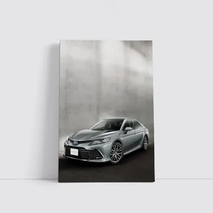 Toyota Camry Silver Sedan Against Gray Wall