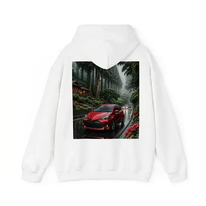 Toyota Yaris Red Rainy Forest Road