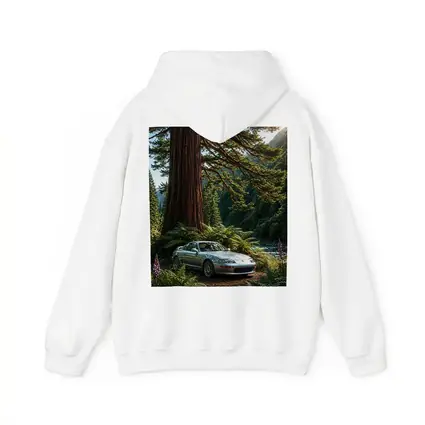 Toyota Supra Silver Coupe Forest River Setting
