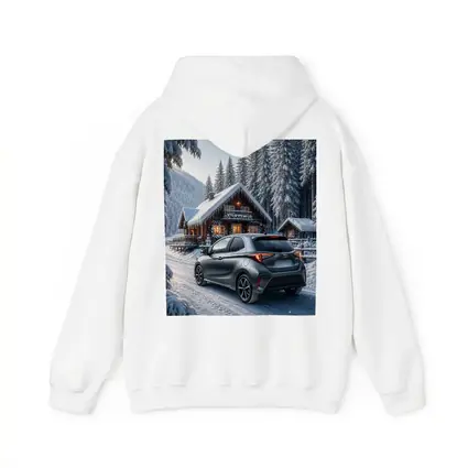 Toyota Yaris Gray Hatchback Snowy Forest Cabin