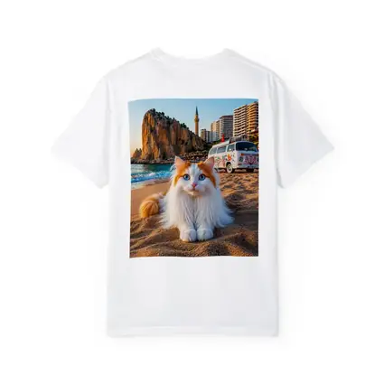 Turkish Van Cat on Sandy Beach Turkey