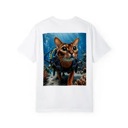 Abyssinian Cat Scuba Diving Coral Reef Underwater