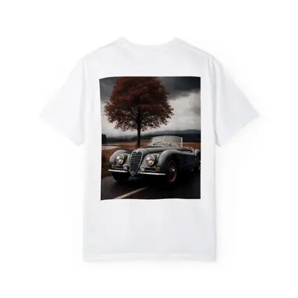Vintage Alfa Romeo Roadster Cloudy Country Road