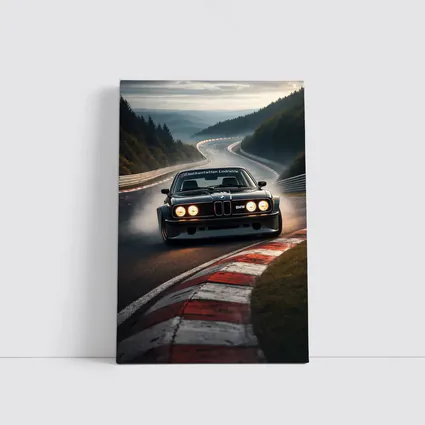 BMW E24 Racing on Nurburgring Track