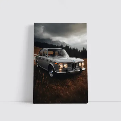Vintage BMW Classic Sedan Moody Mountain Setting