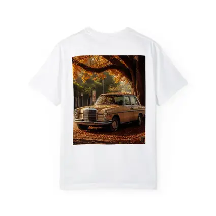 Vintage Mercedes Benz Sedan Autumn Street
