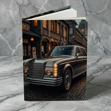 Vintage Mercedes Benz S Class Old Tokyo